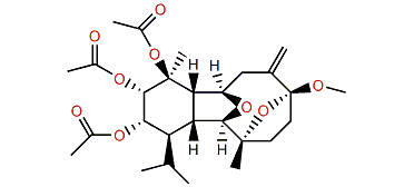 6-O-Methylmassileunicellin A